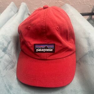 Patagonia baseball hat